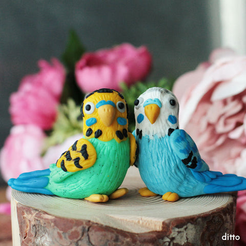 July | Love Bird Budgies