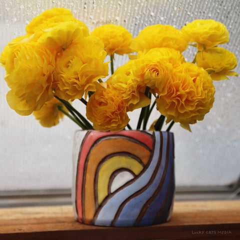 June | Plant a Rainbow | 1.5 Hr Instructor Guided Workshop