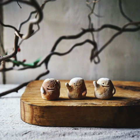 February | Table Bud | special deal!