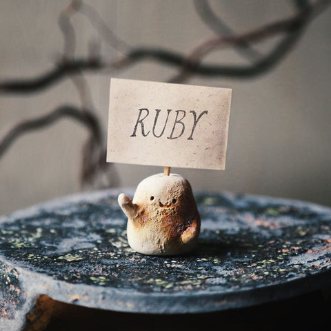 February | Table Bud | special deal!